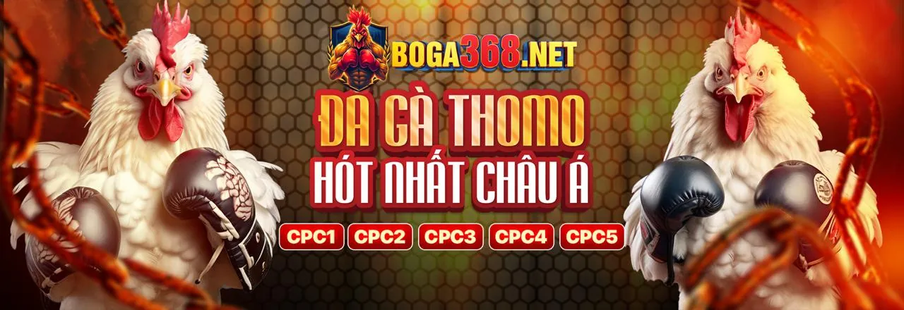 Trải nghiệm đá gà trực tuyến đỉnh cao tại qh77 casino